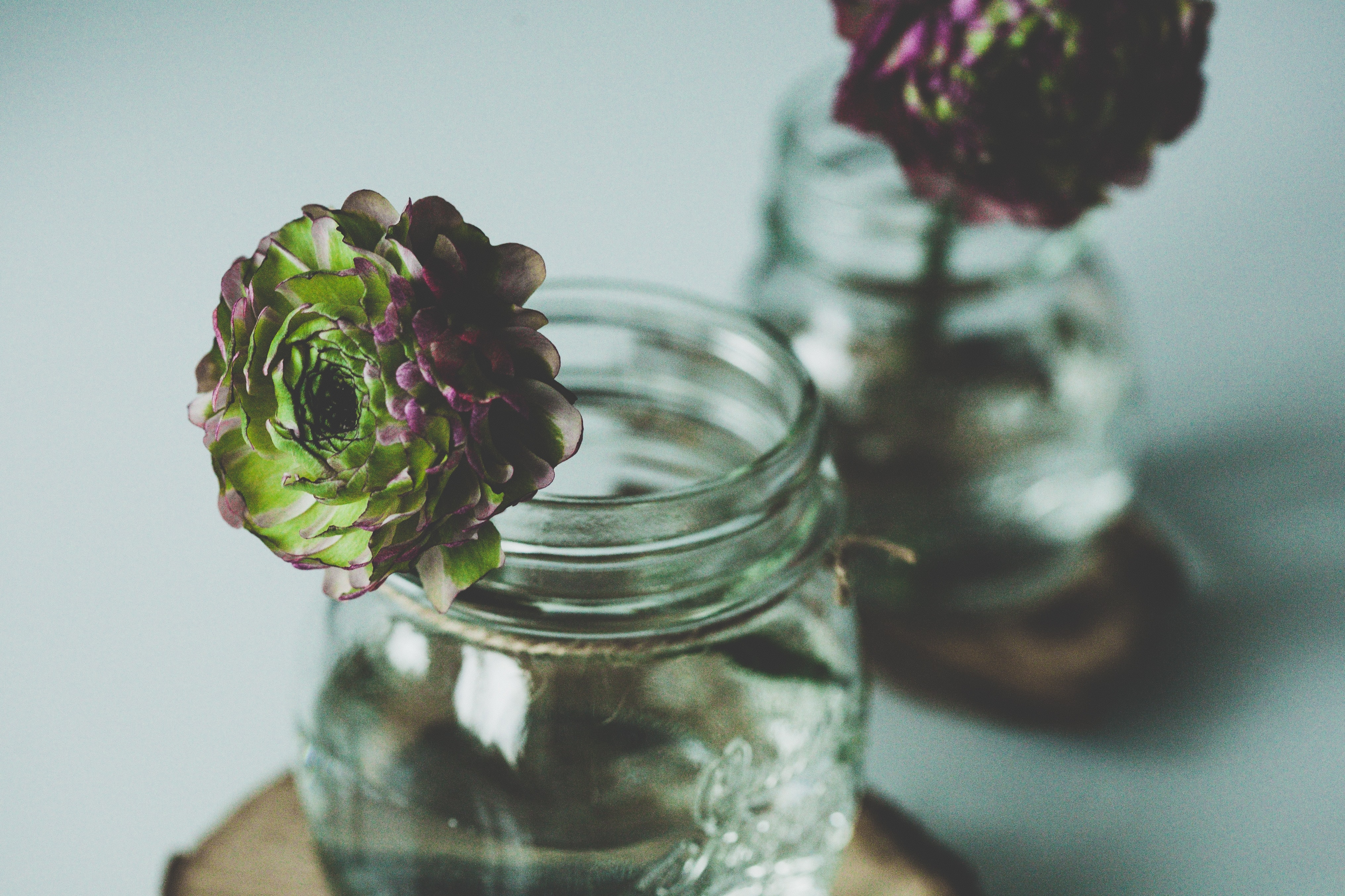 What is really needed for software reusability?